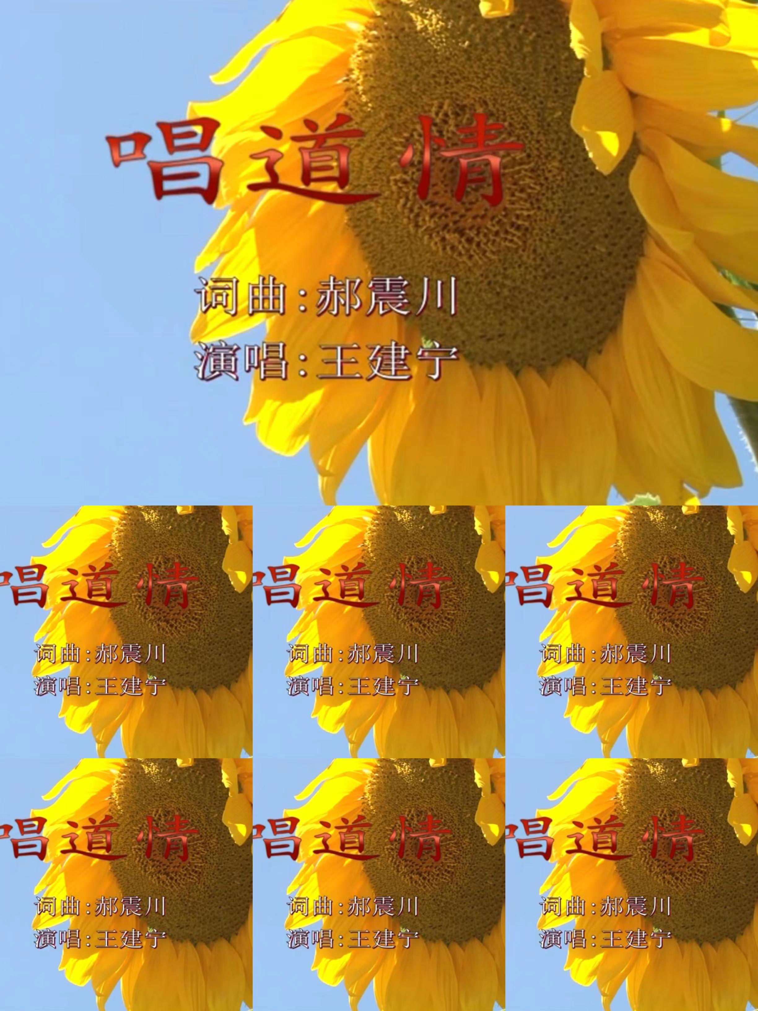 唱道情——王建宁